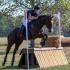 Cowboy Swagger is 2019 Thoroughbred Makeover Champion With Fallon Taylor